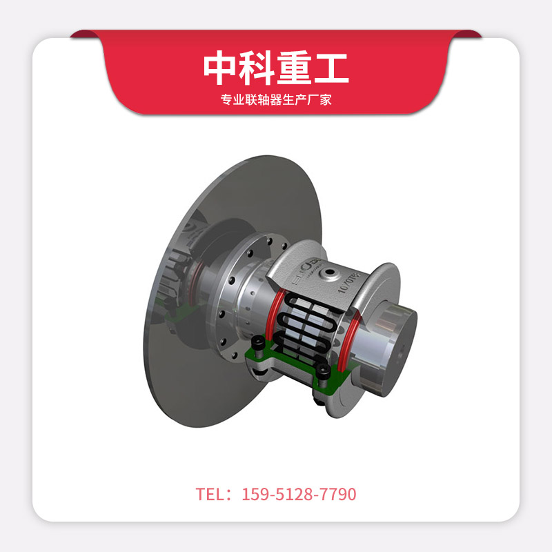 T63帶制動(dòng)盤型蛇簧聯(lián)軸器